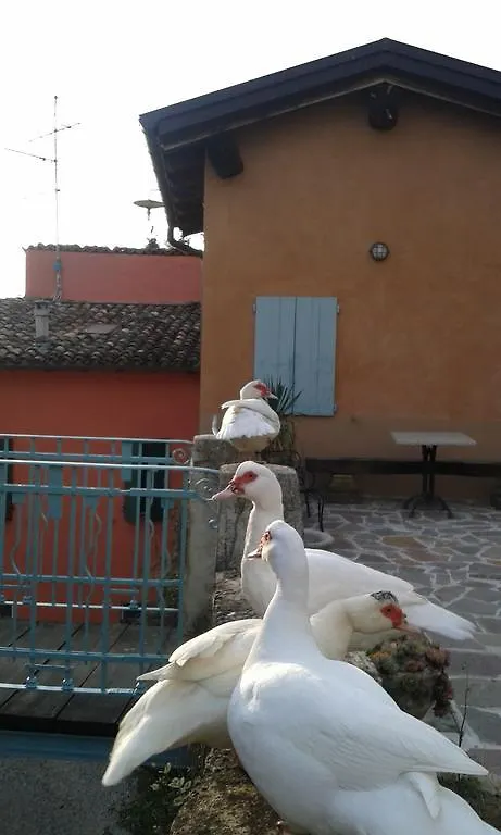 Farm stay Agriturismo Il Gelso Villa Traversetolo Italy