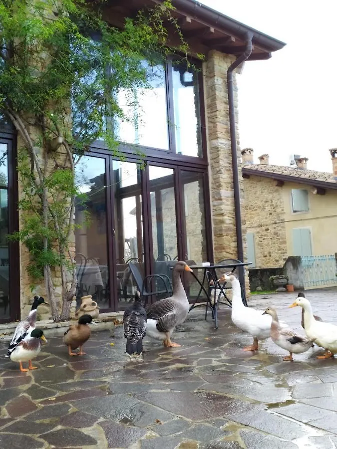 Farm stay Agriturismo Il Gelso Villa Traversetolo